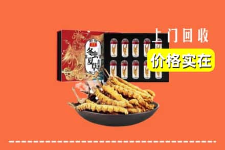绵阳市梓潼回收冬虫夏草